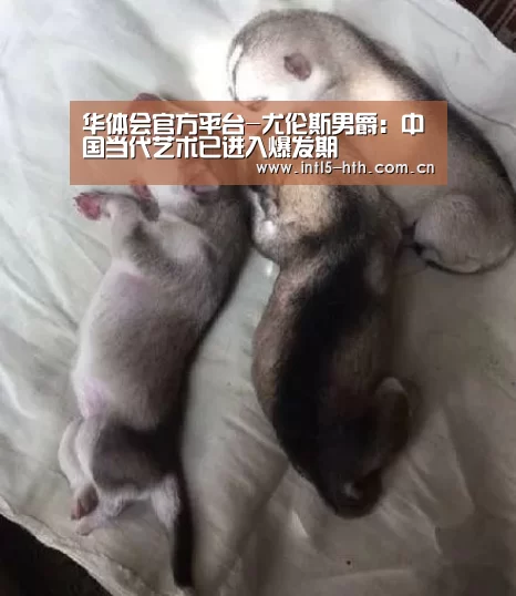 华体会官方平台-尤伦斯男爵:中国当代艺术已进入爆发期(图3) 华体会官方网站入口